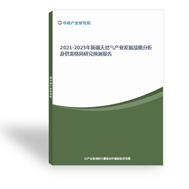 2024-2029年新疆天然氣產業發展戰略分析及供需格局研究預測報告