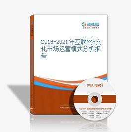 2016-2021年互聯網+文化市場運營模式分析報告